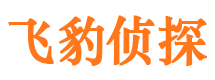 船营调查公司